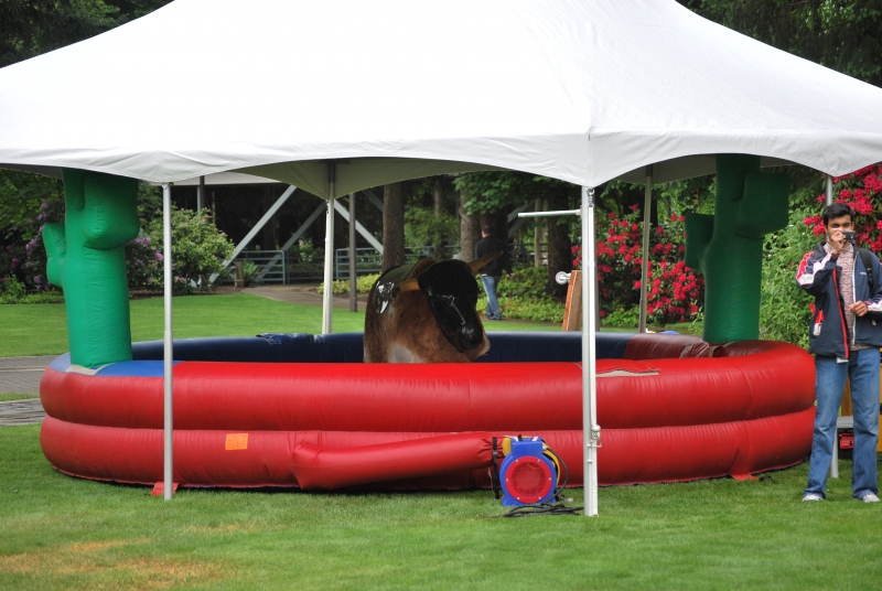 Seattle Mechanical Bull Party Rental Seattle Events Mechanical Rides